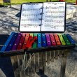 Instrument muzyczny w parku - Capella