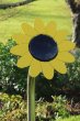 1053541418_760x1140-Sunflower-New-Size-_-No-Player-2