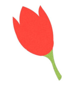 Tulipan 2DR06
